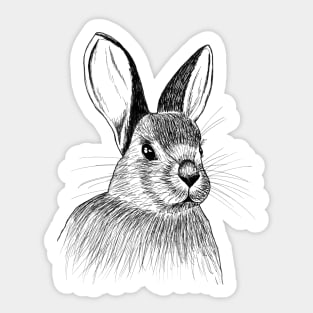 Hand drawn Bunny Sticker